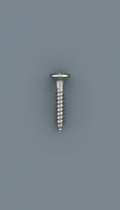 A perfectly centered, straight-on front view of a Screwco stainless steel wood screw. The background is a seamless Slate...