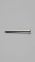 A stainless steel finishing nail perfectly centered on a soft gray background. Captured with precision, the image...